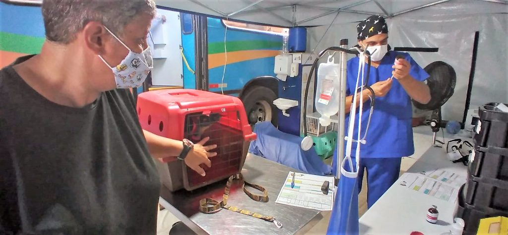 MUTIRÃO DE CASTRAÇÃO DE CÃES E GATOS SERÁ REALIZADO NO CIDADE ARACY