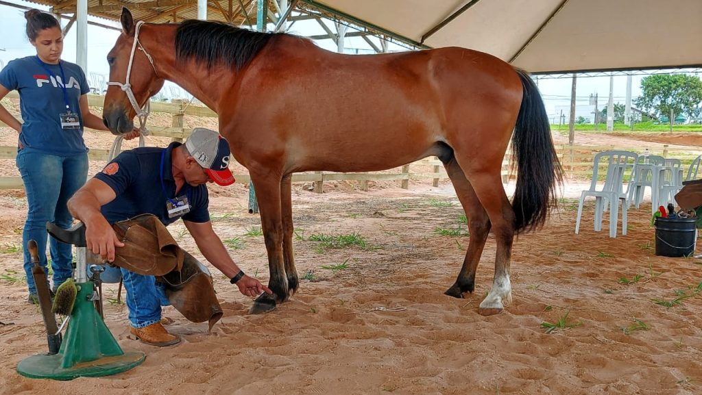 CURSO DE CASQUEAMENTO É REALIZADO NO CENTRO MUNICIPAL DE ATIVIDADES EQUESTRES